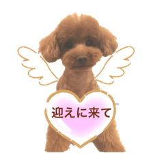 Akiko_20220420070354