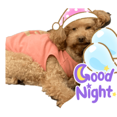 Emily_20220420002850