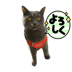 JuNkO_20220420104922