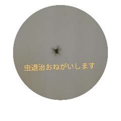 nakamura kazuya