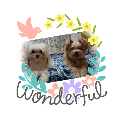 saori_20220420125209