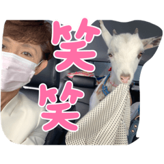 sayuri_20220419220420