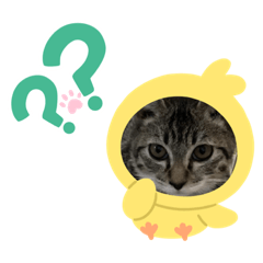 Cream_20220420005436