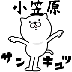 Pretty kitten OGASAWARA Sticker [MOVE]