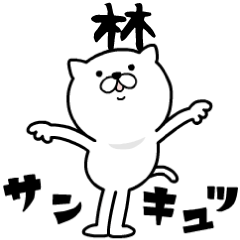 Pretty kitten HAYASHI Sticker [MOVE]