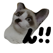 nekosiratama