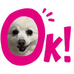 饅頭的表情貼❤️