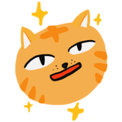 Fluffy Fat cat Orange 2