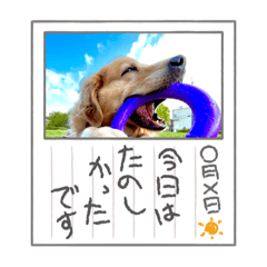 ask_20220420173254