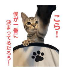 suzu_20220420192014