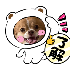 tonton_20220420191224