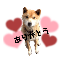 himawari_20220420223012