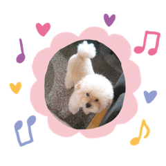 yuka_20220420231852