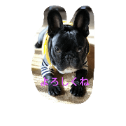 kuranosukebestfriend