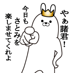 satomi's fun rabbit