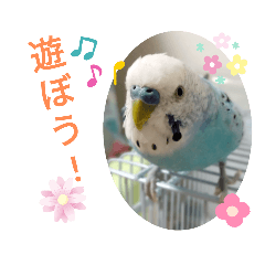 aono_20220420202827