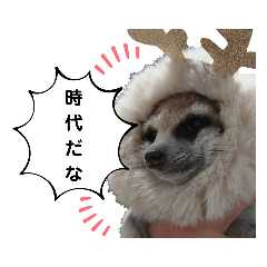 nozomi_20220420211409