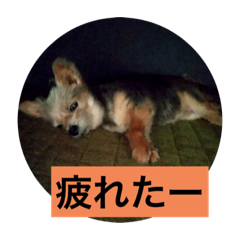 chie_20220420222446