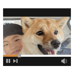Miko_20220421103523