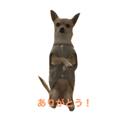 MICHIKO_20220421083535