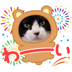 hikari_20220421115615