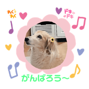 nakanaka.youko_20220421040147