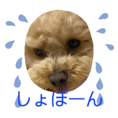 bebetama_20220421124348