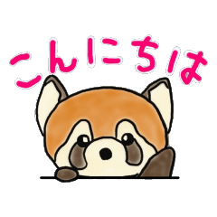 レッサーパンダのぽんぽりん