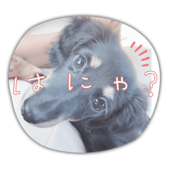 miki_20220421153022