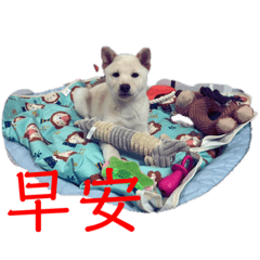 Bawan_20220421140359 – LINE stickers | LINE STORE
