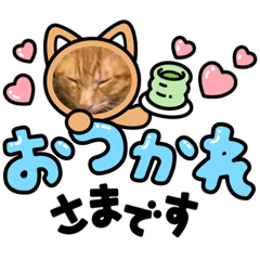 arisa_20220421170502