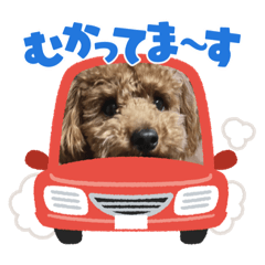 ayumi_20220421172830