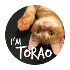 I'm Torao