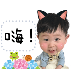 肉包專屬貼圖❤️