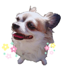 kii_20220421223146