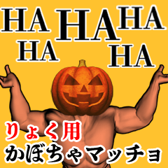 Ryoku Pumpkin macho