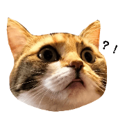 m_20220422055816