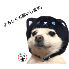 Mi6qslexpy_o0_20220421230738