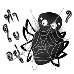 bugging spider and web