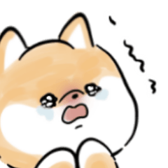 Shiba Inu Dog <kind & love>