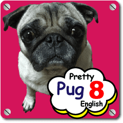 かわいいパグっち8 画像英語版 Line スタンプ Line Store