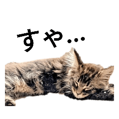 burakon_20220422022419