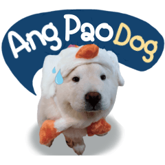 Ang Pao Dog