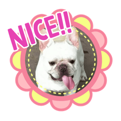 Punli
