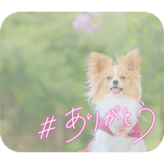 yukari_20220422141636