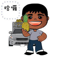 Transport driver pineapple