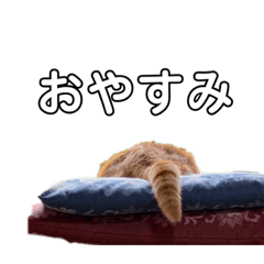 Mizuki_20220422155249