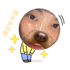 花花跟你說聲嗨