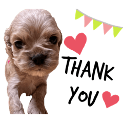 ARISA_20220422170157