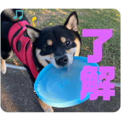 akari_20220422194420